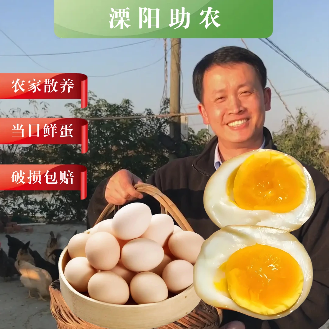 溧阳社渚长寿之乡农家散养土鸡蛋30枚新鲜谷物蛋