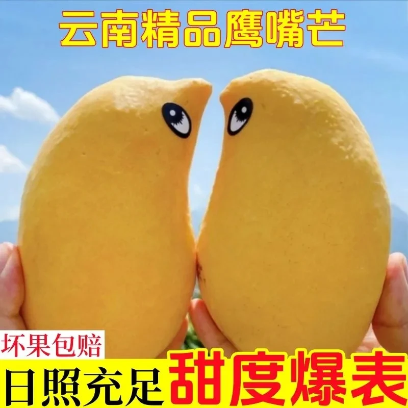 云南产地直发鹰嘴芒果新鲜青皮大芒果整箱大芒果当季时令孕妇水果
