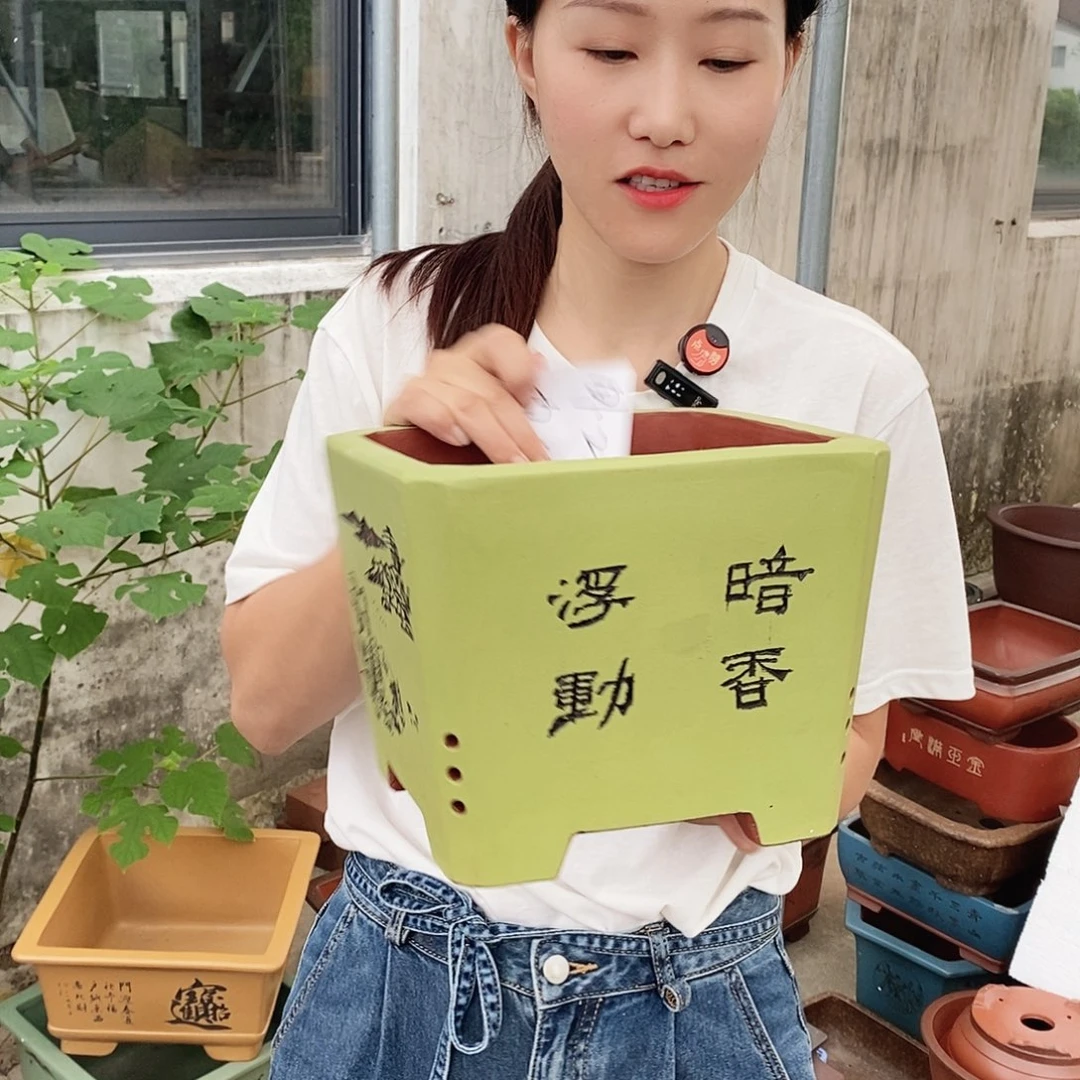 紫砂花盆紫砂花盆