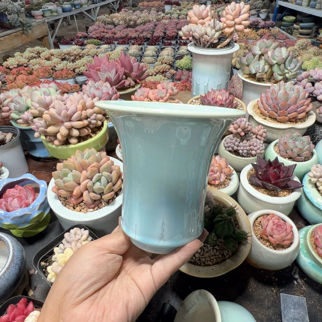 特价花盆满50发货 内口11