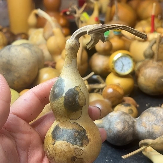 立*葫芦葫芦葫芦葫芦