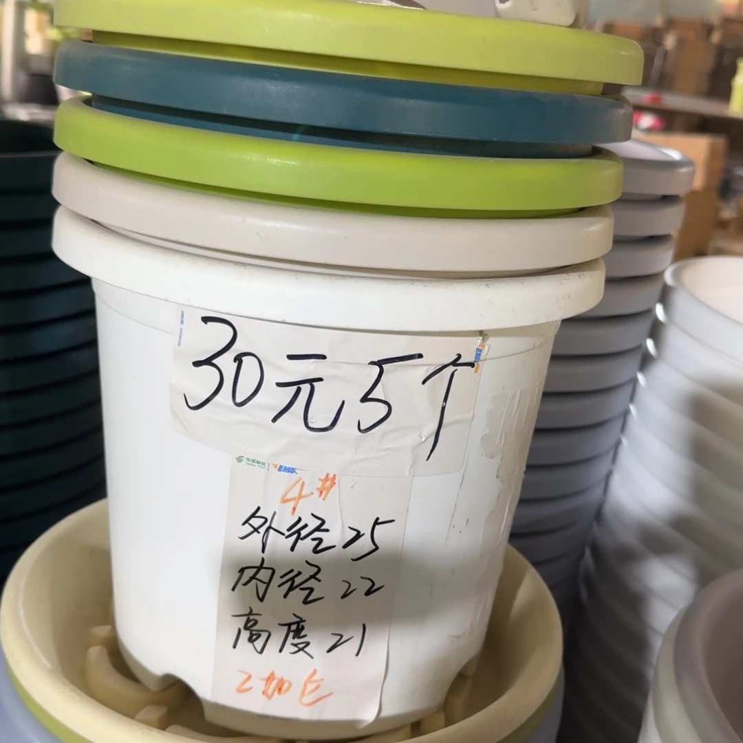 四季4#口径25无拖果绿5个
