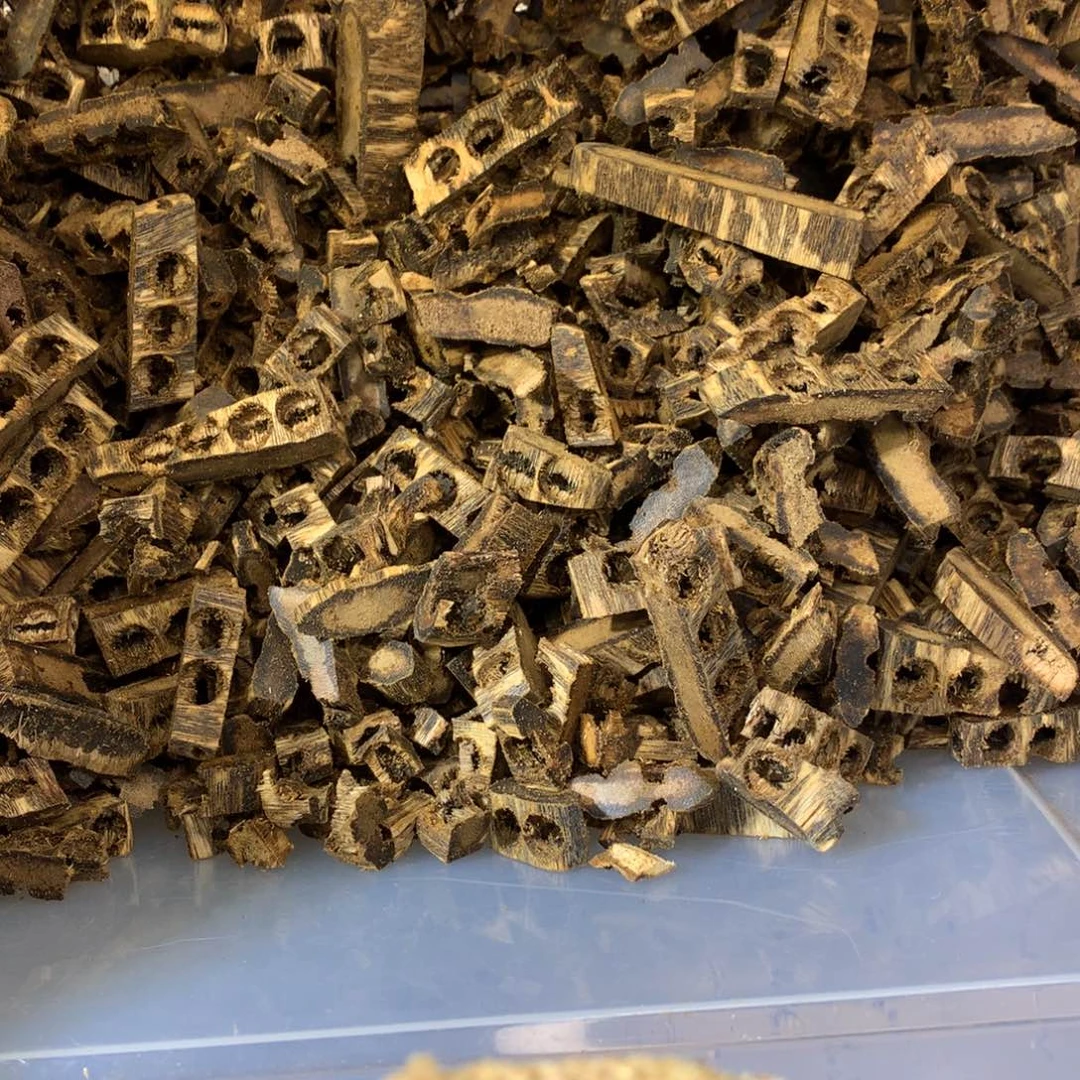 沉香碎屑沉香“****”奇楠沉香海南红骨凹身碎料500克