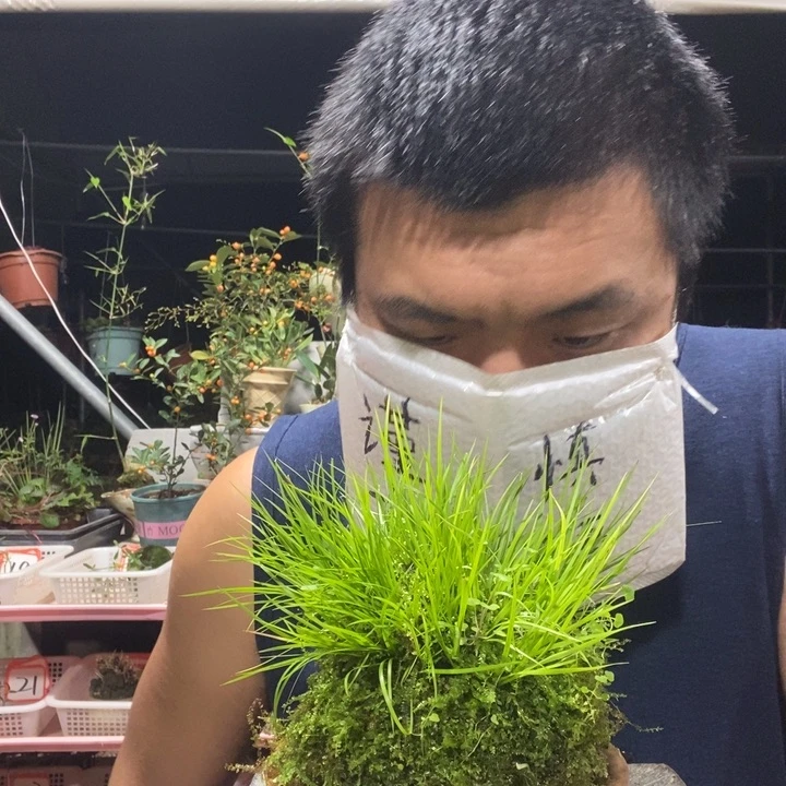 姜***记以实际为准盆景绿植盆栽37