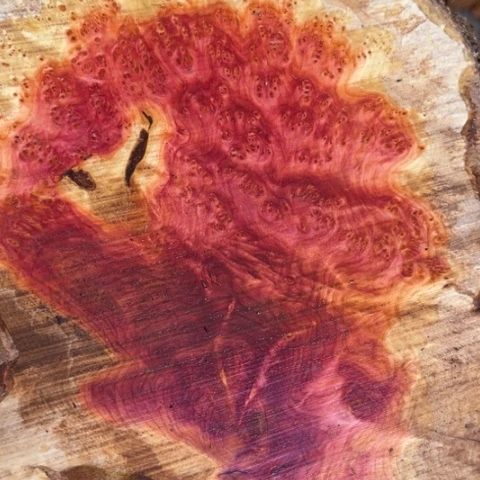 木醉**尘1.8两条加工不退换