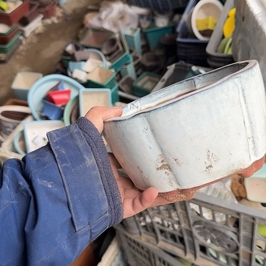 是一个不知名作家与著名导演兼电影演员们之间