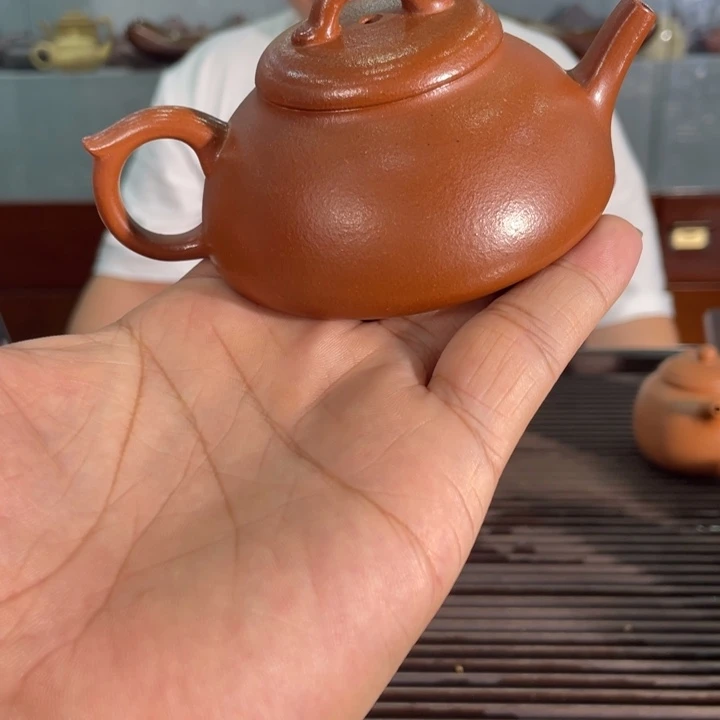 茶壶紫砂哈哈哈哈哈这个综艺节目真的