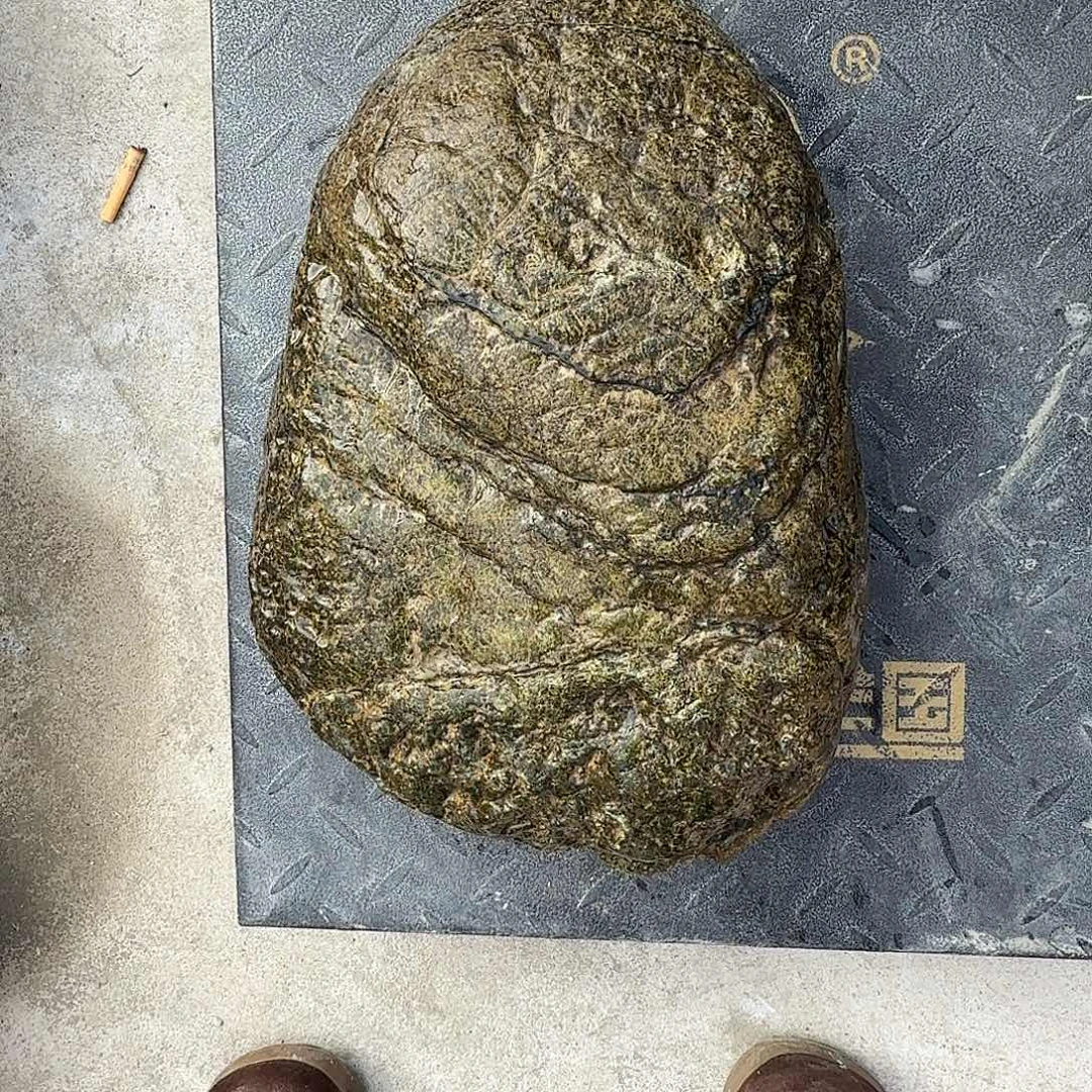 j***z蛇纹石玉未镶嵌天然原石摆件藏玉西藏