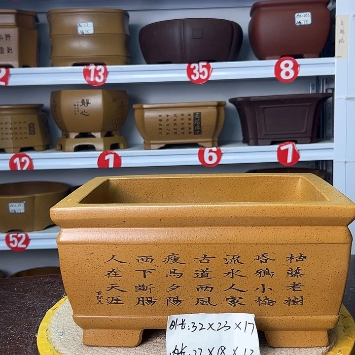 花盆紫砂你在一起