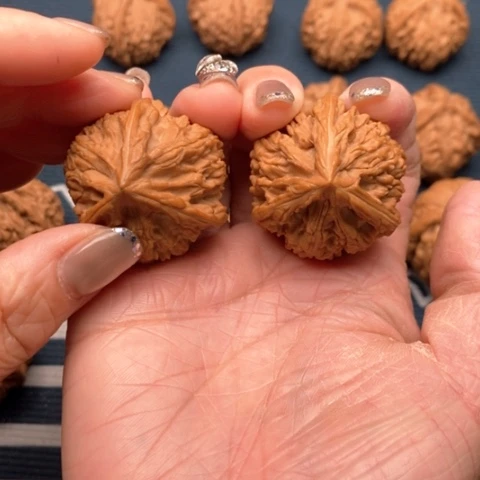 橄榄核手串/手链滴*滴文山三棱御龙粗筋