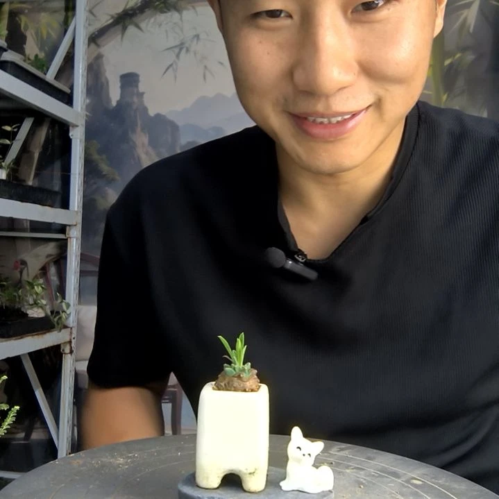 K***y中青园艺一物一拍116