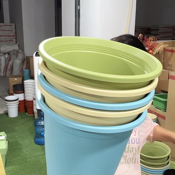 圆形控根口29.5高27.5混色五只无托