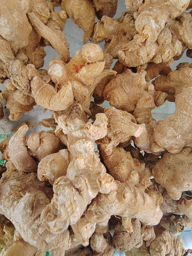 粮山阁山货—天王参