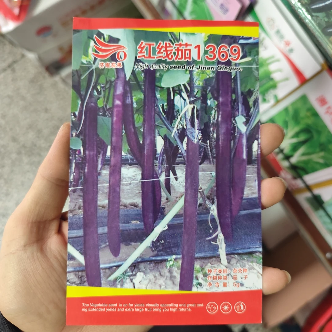 红线茄1369长茄子种子杂交茄子新品种紫红长茄种子线茄蔬菜种子