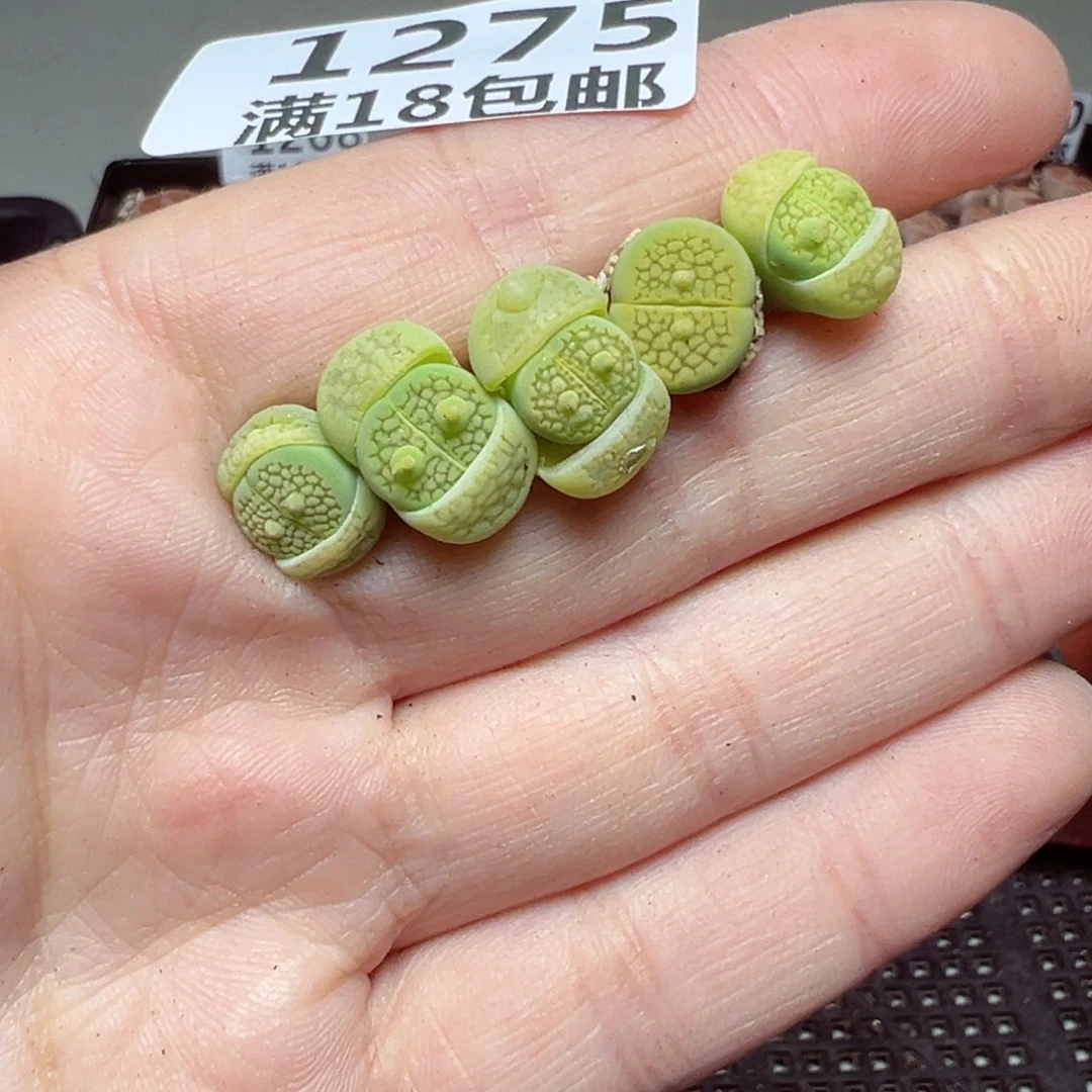 【闪购商品】1275……