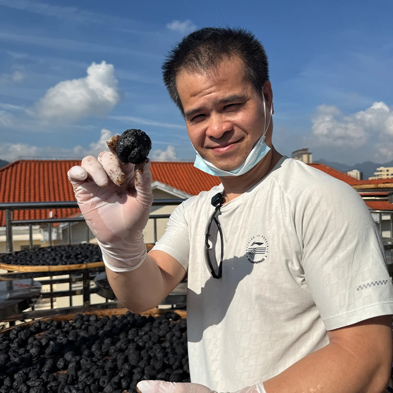 熟地黄五年九蒸九制