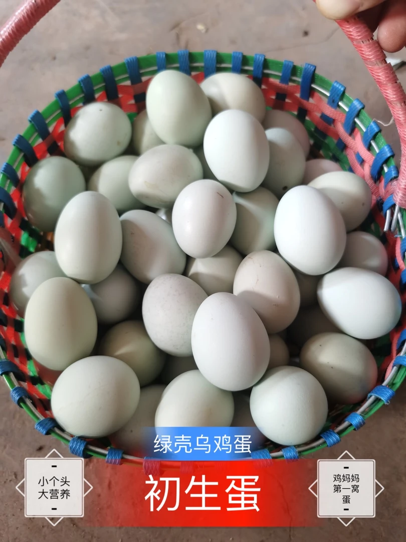 初生蛋40枚绿壳乌鸡头窝蛋山林虫草农村纯粮散新鲜营养高现捡现发