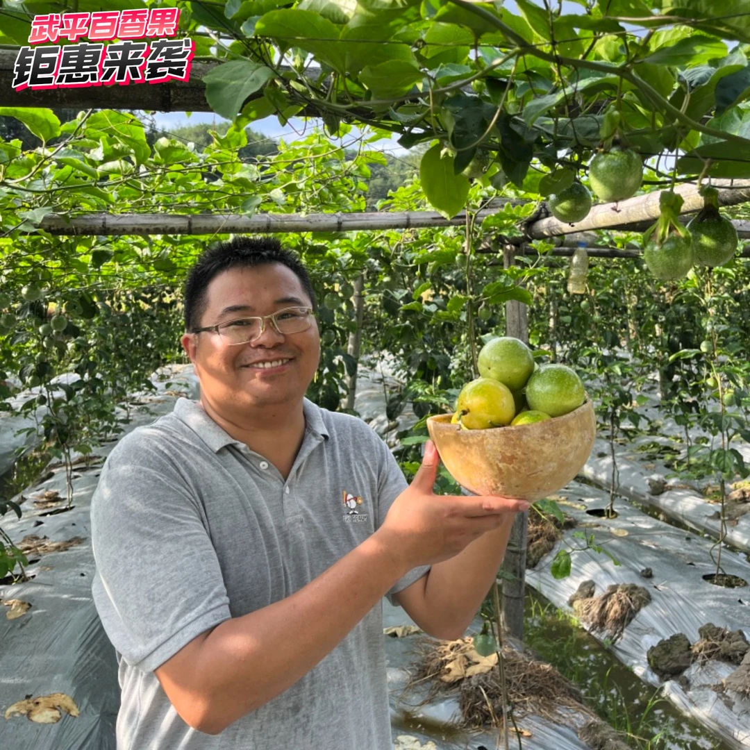 [微瑕精挑款]福建武平钦蜜9号黄金百香果九分甜3斤5斤包邮