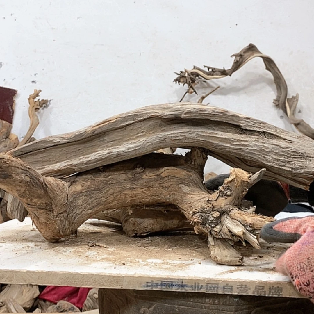 【闪购商品】柏木忆*我们都是好孩子