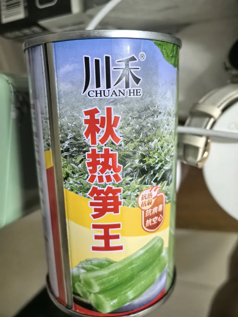 秋热笋王，抗热、抗裂、抗病毒、抗空心