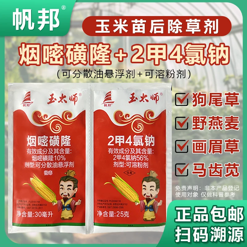 帆邦玉太师10%烟嘧磺隆+56%2甲4氯钠除冬小麦田玉米田阔叶杂草