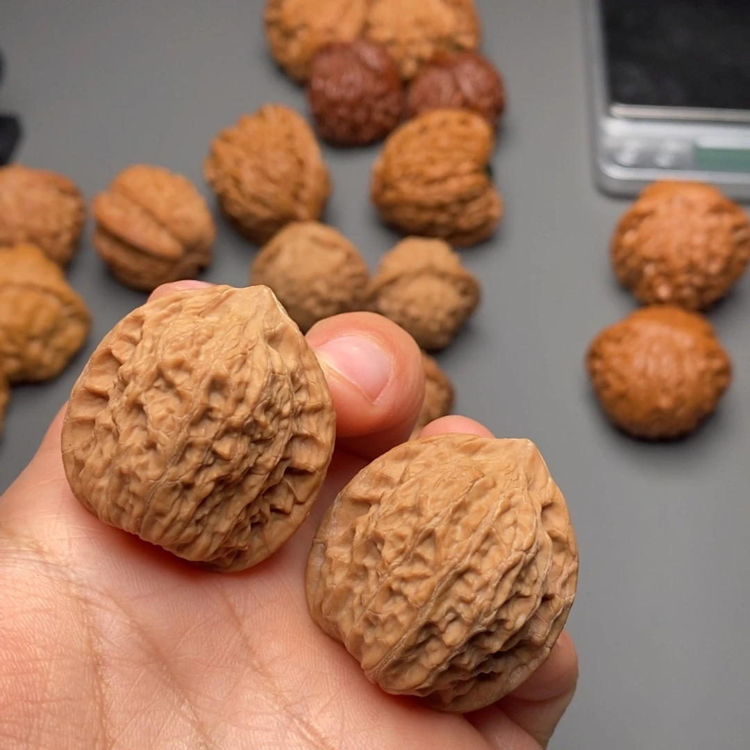 T***N把件文玩核桃33尺公子帽