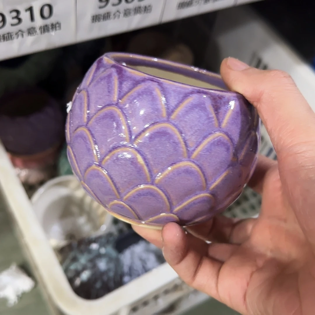 福利局绿植多肉盆［凑9元包邮24小时发］988