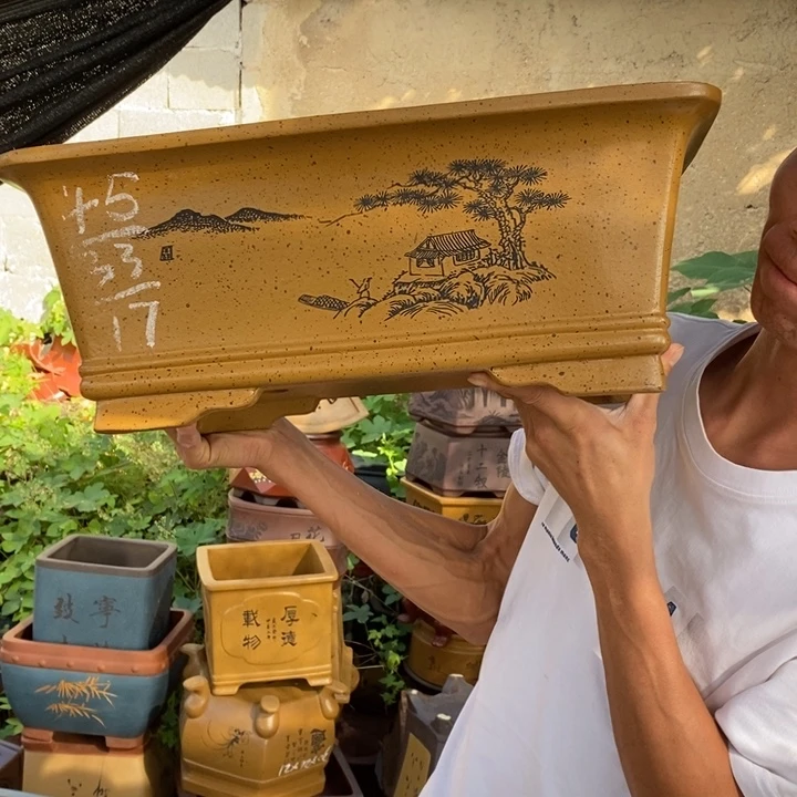 紫砂花盆没有去过的地方就是说一句