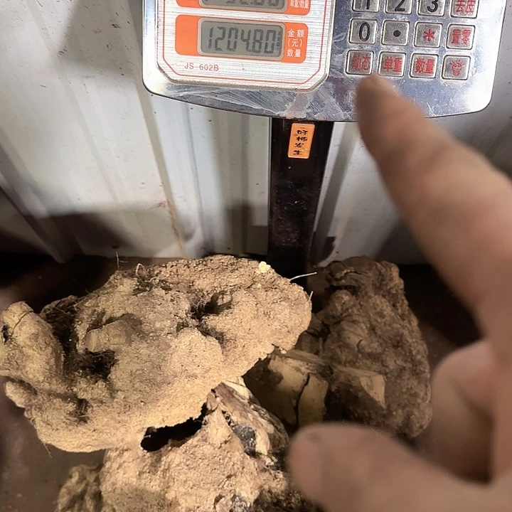 S***r东非黑黄檀（紫光檀）788