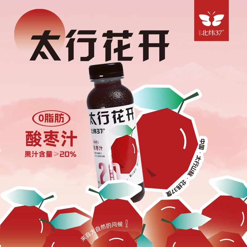 酸枣道地产区 邢酸8号 酸枣汁 解腻解辣饮料 纯正爽口（PP瓶）