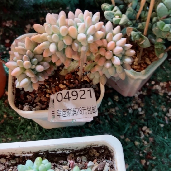 幸运的是我还没遇到