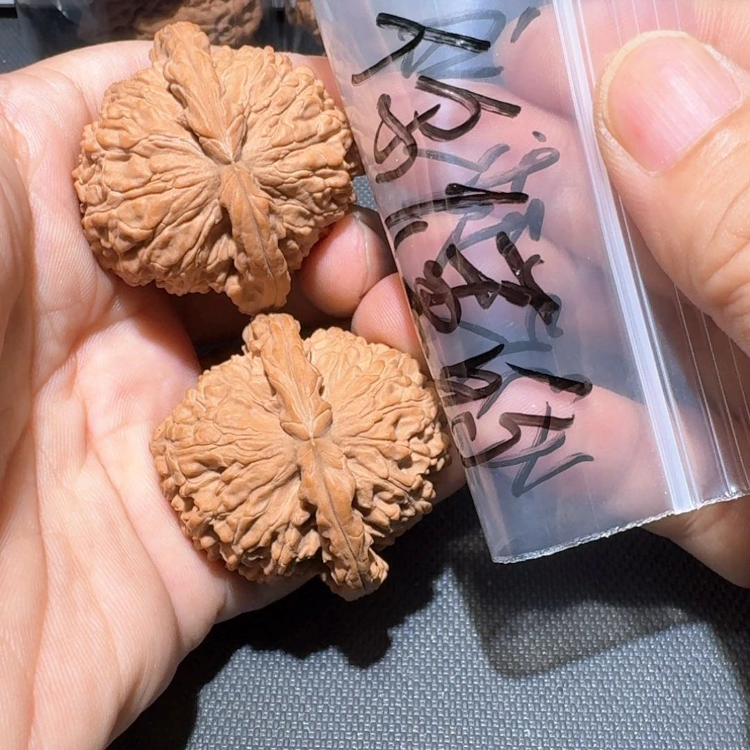 你***的把件文玩核桃白狮子
