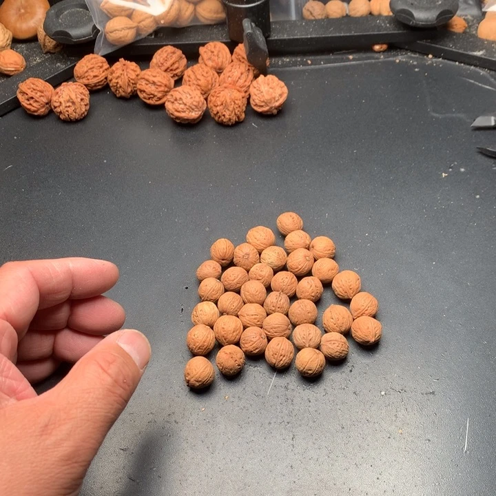 桃核吊坠糖*丶野生精品小核桃散籽