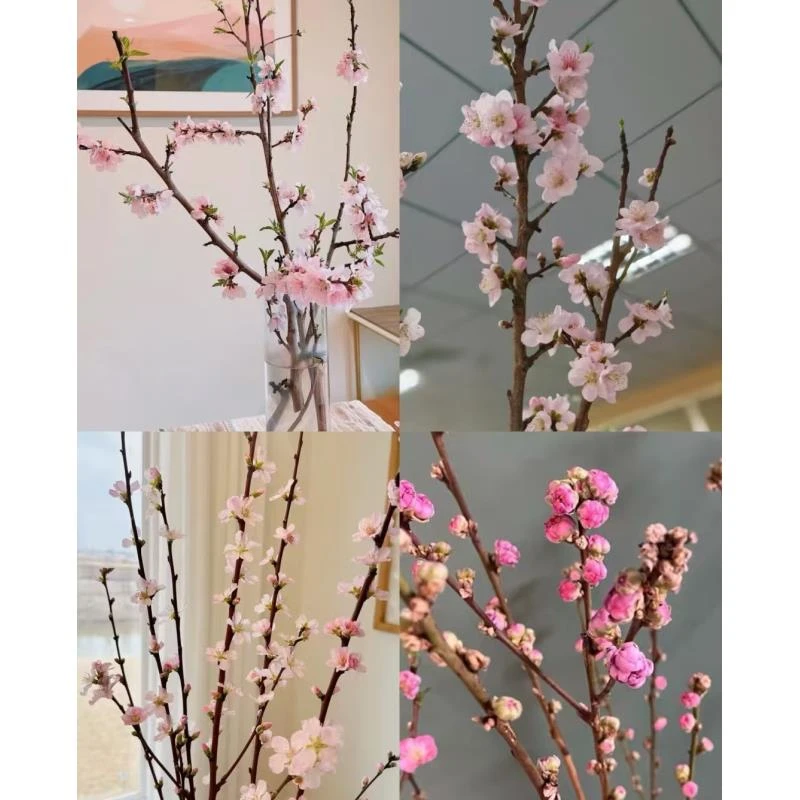 【桃花鲜切枝】 干枝发货 养养能开 全场任意两单顺丰/京东