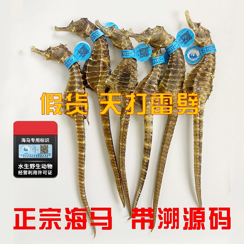 【正宗海马】海马干货带溯源码公母搭配 可煲汤泡酒的滋补食材料