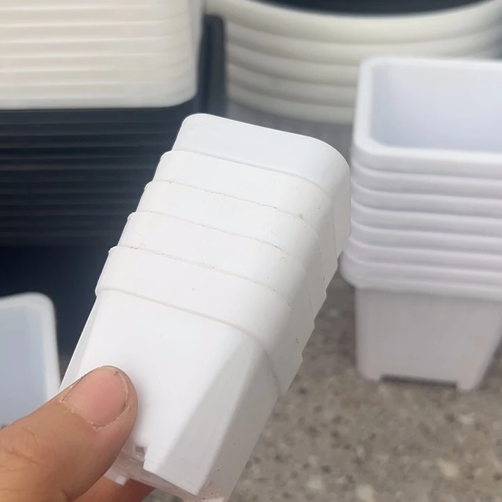 白方口5高5一组100