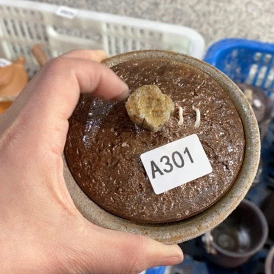 福利多多福利多多