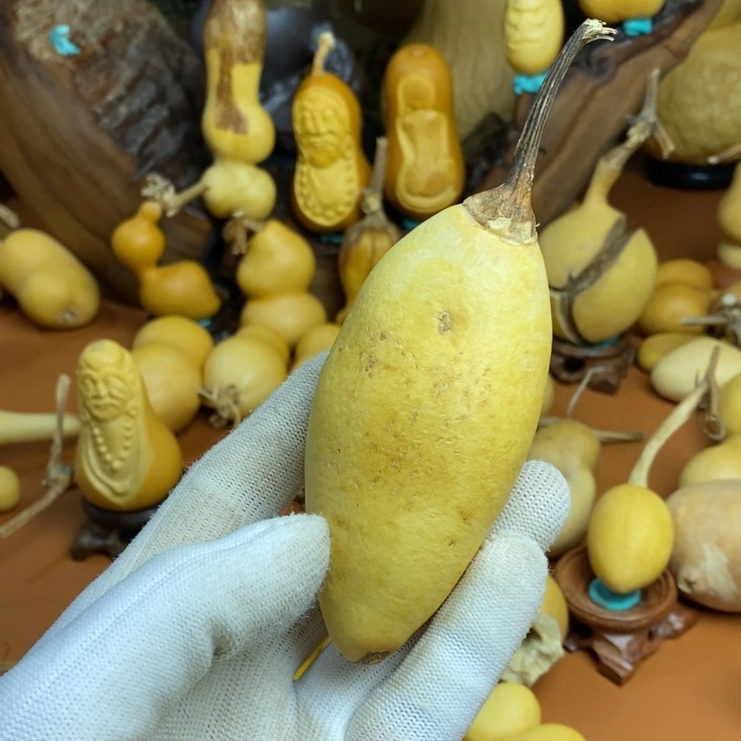 热***钟啦啦教练咯教练咯教练咯