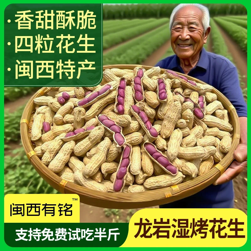 闽西特产正宗龙岩湿烤紫衣花生水煮白衣花生咸香酥脆下酒晒干零食