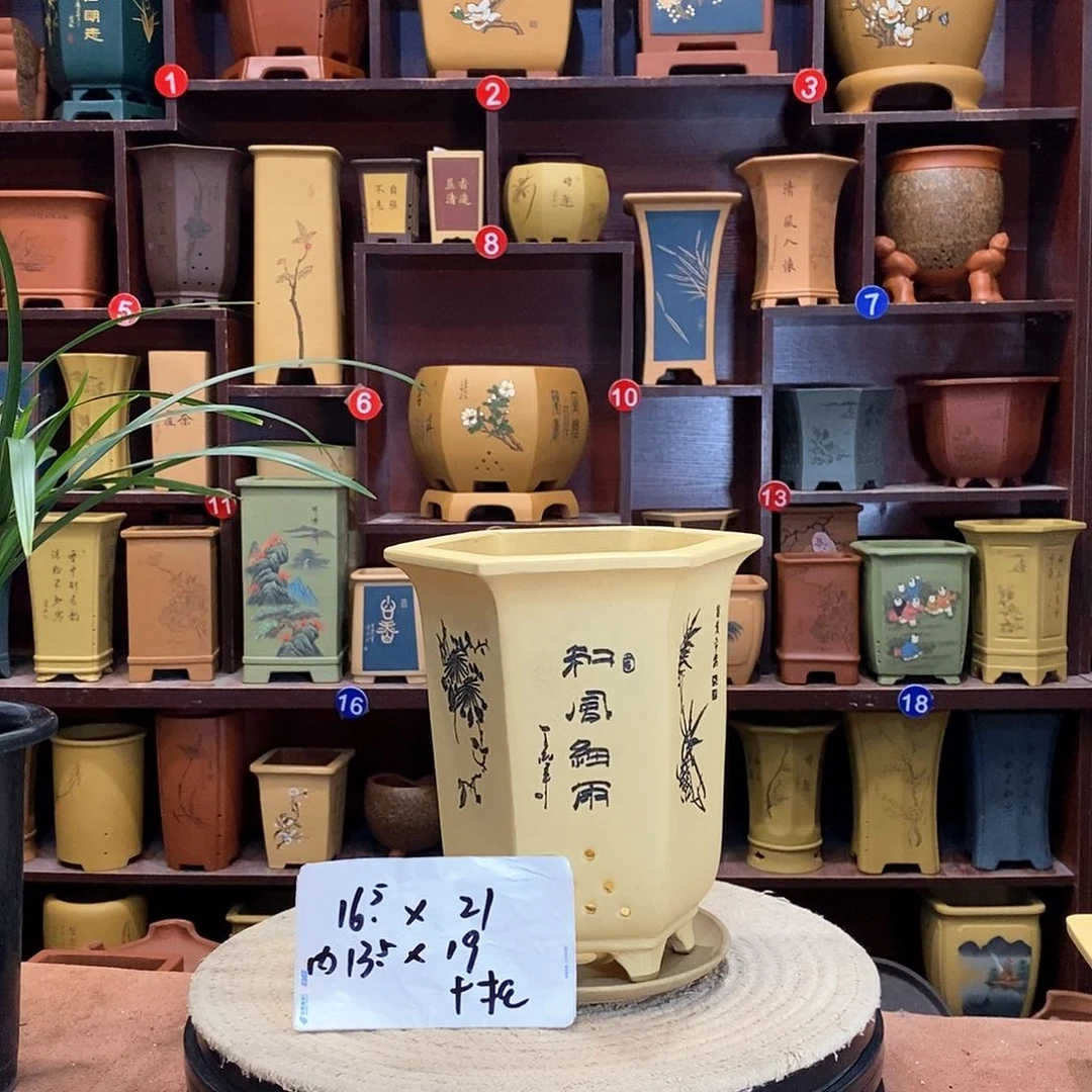 紫砂花盆紫砂花盆