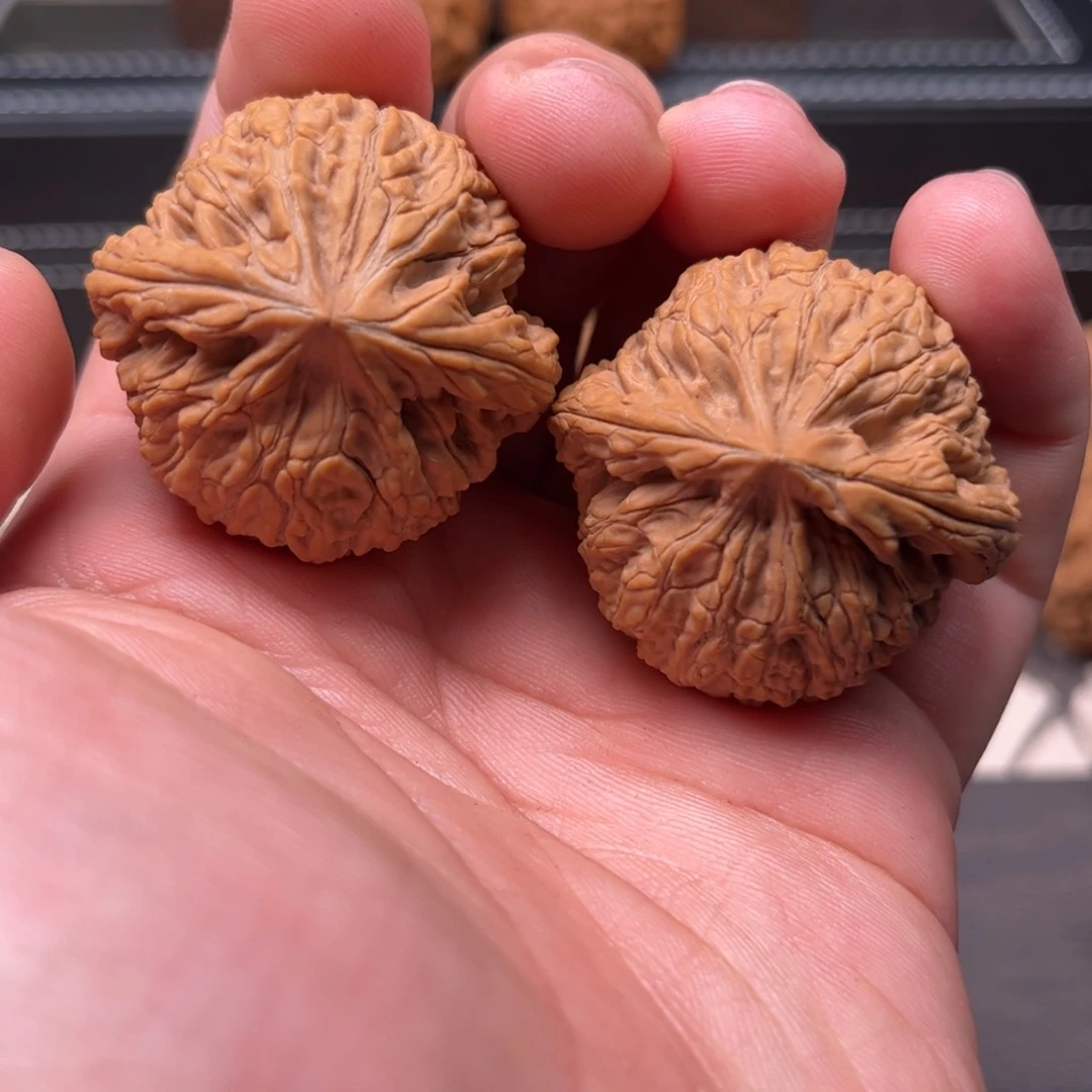 文玩核桃吊坠用****640蛟龙