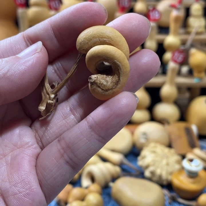 小***粉108美好生活的开始就是在一起