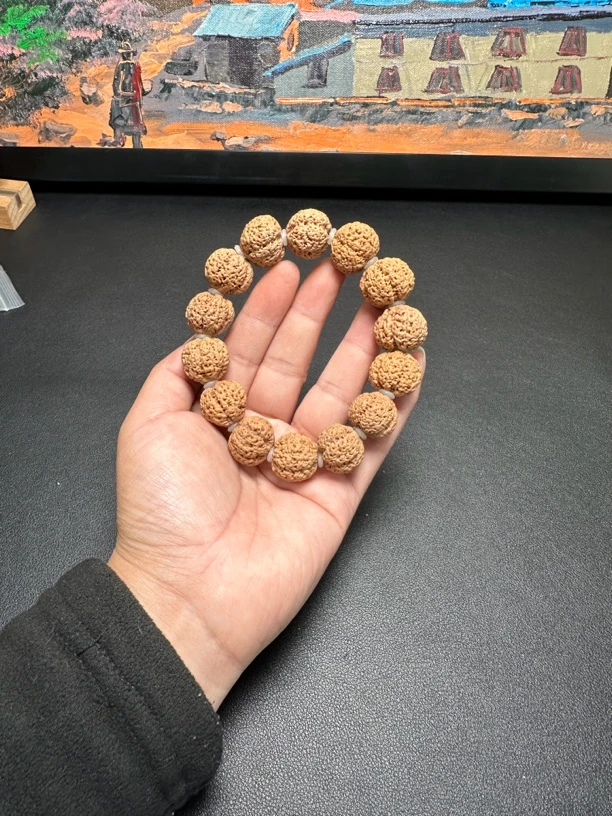 满肉小蜂王金刚菩提