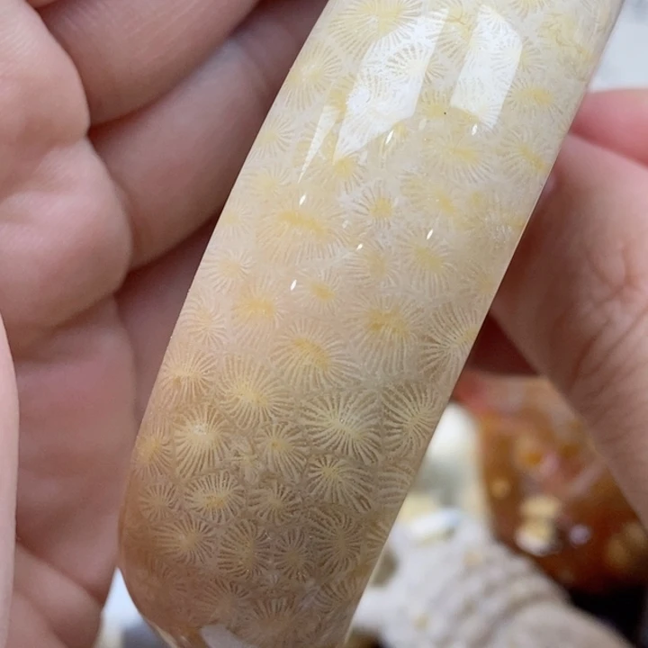 石英质玉未镶嵌颈饰