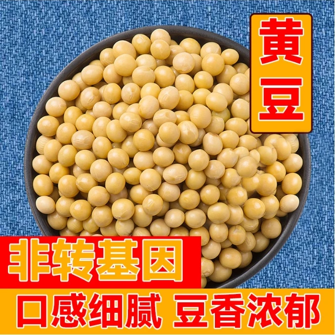 【到手3斤】黑龙江东北黄豆小农家大豆生豆芽打豆浆专用豆子