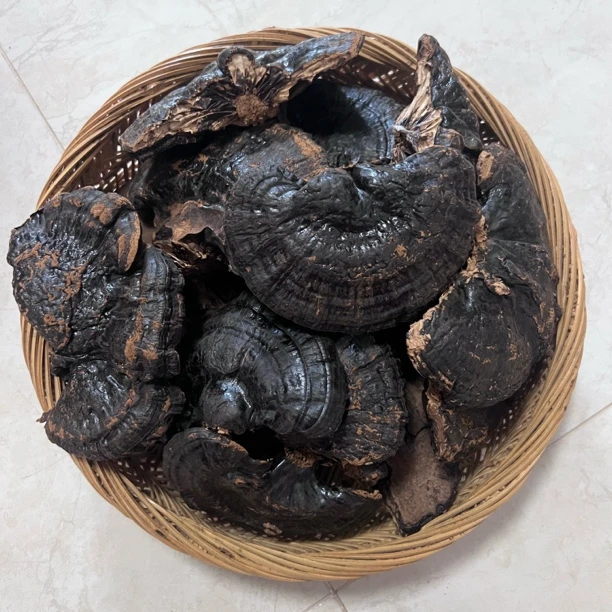 潮州深山山野黑林芝菇250克