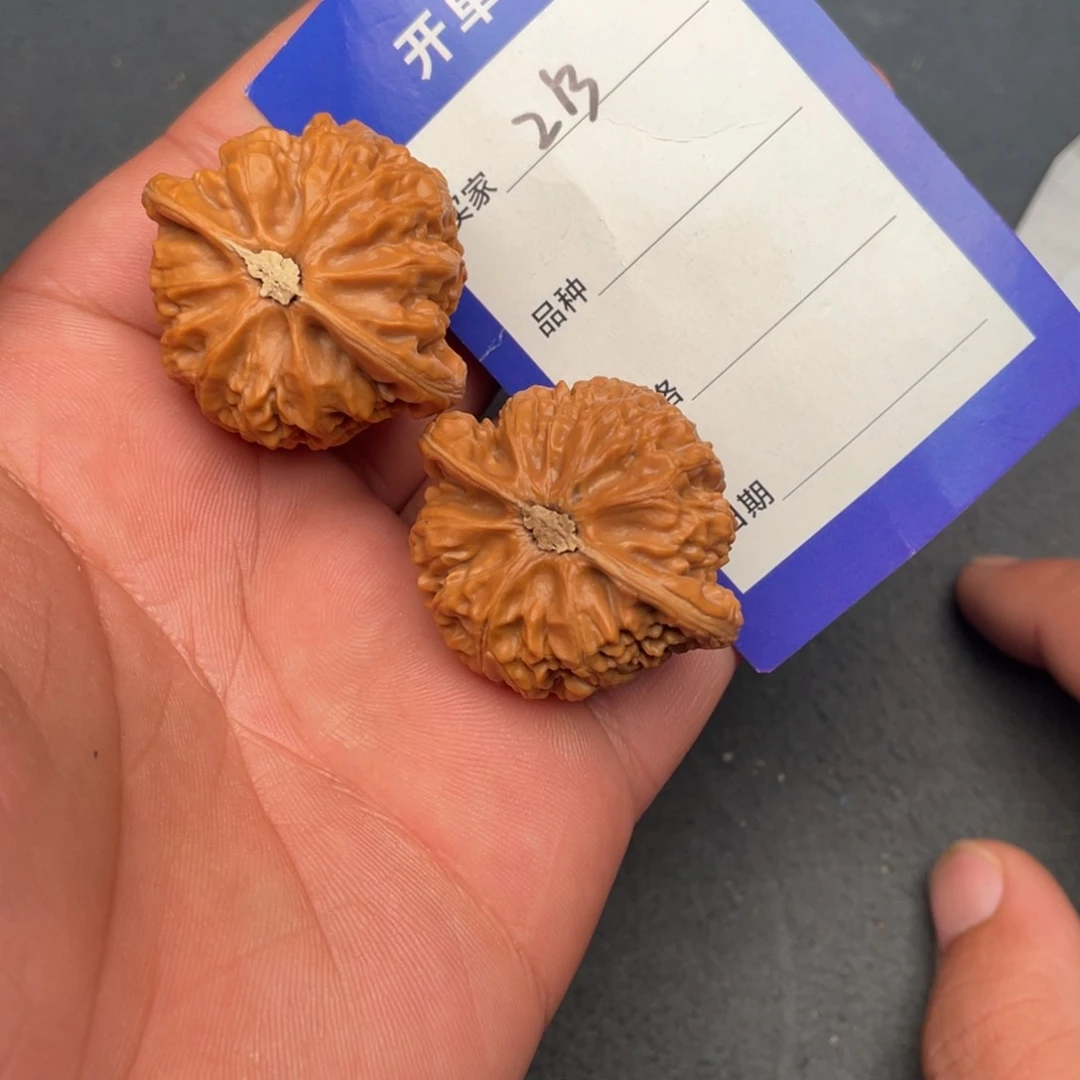 核桃把件39全品宫灯，213号