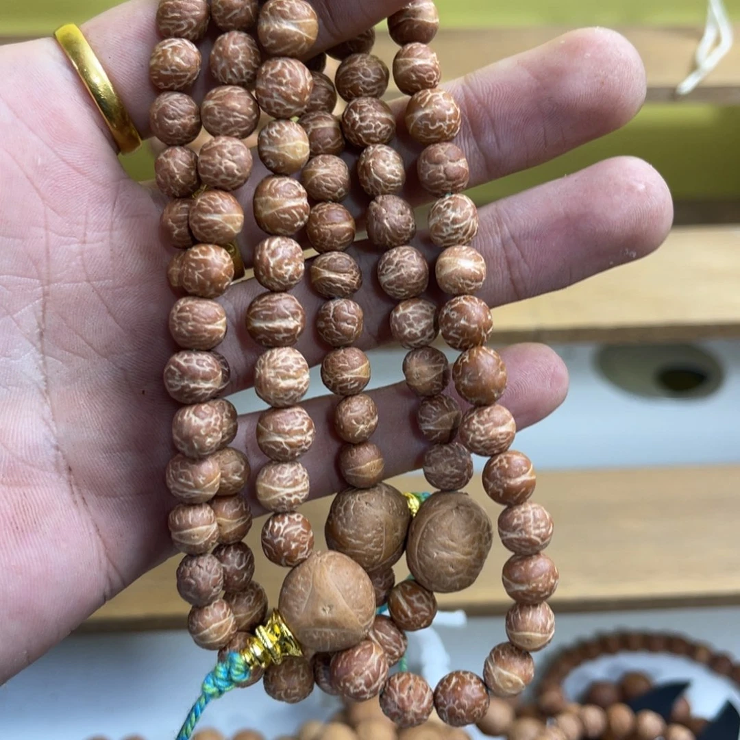 L***.酸枣核单圈福利价