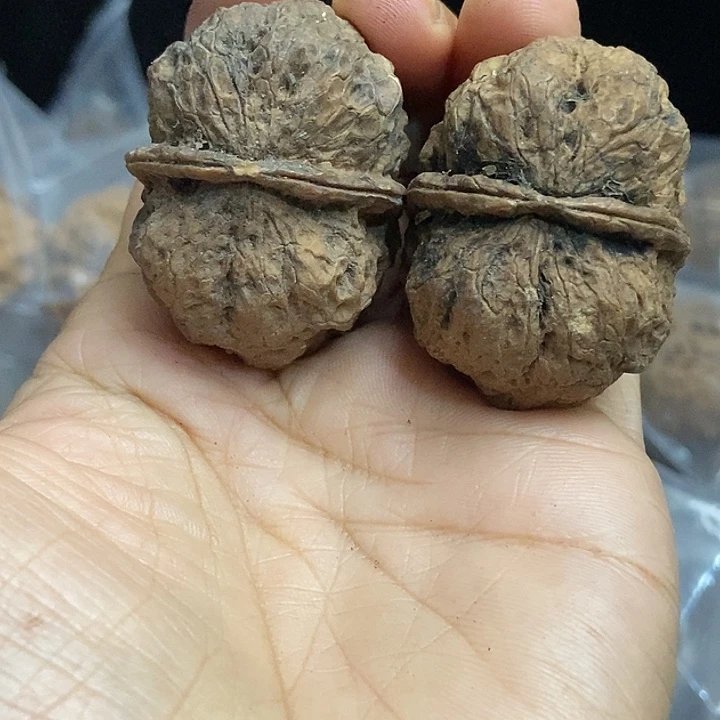 文玩核桃把件云南铁核桃基地91