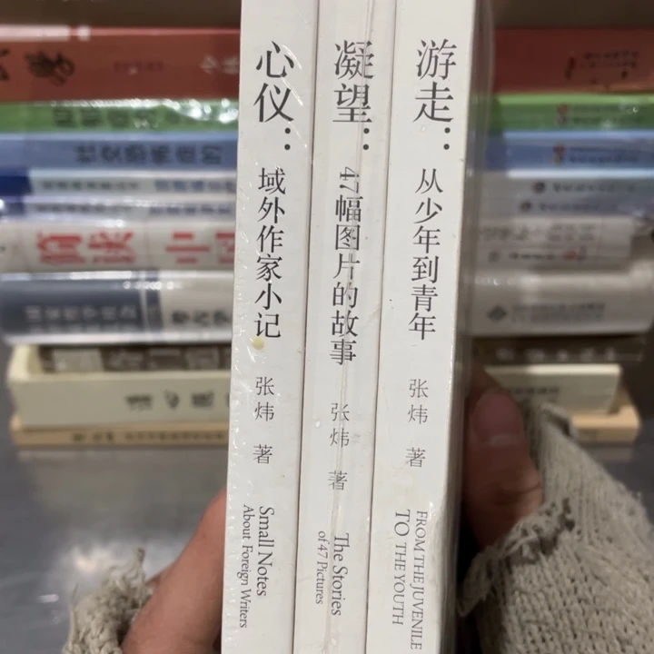 张炜文集三册合售